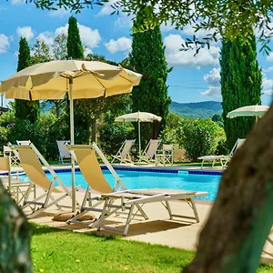 In Santa Maria , San Vincenzo Italia